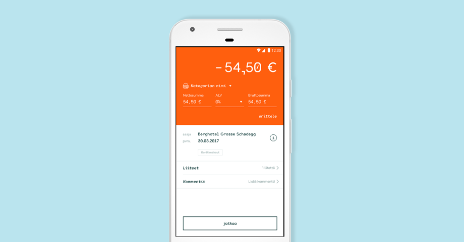 payment-details-FI.png